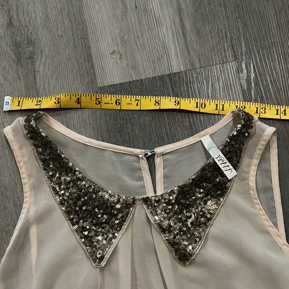 Yett sheer blouse, EUC - Picture 6 of 9